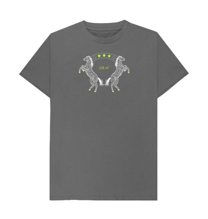 Slate Grey 3-Star Studs