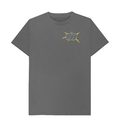 Slate Grey Standard Storm (dark)